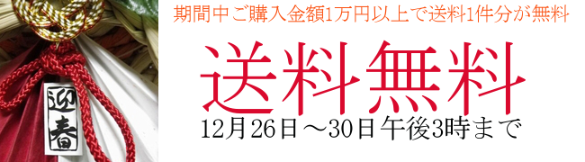 送料 無料 キャンペーン 冬